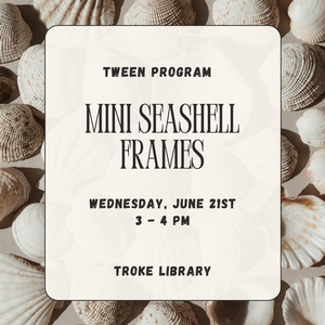 Mini Seashell Frames